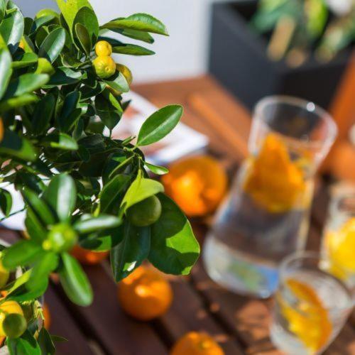 Dream Istria Holiday Porec Luaran gambar