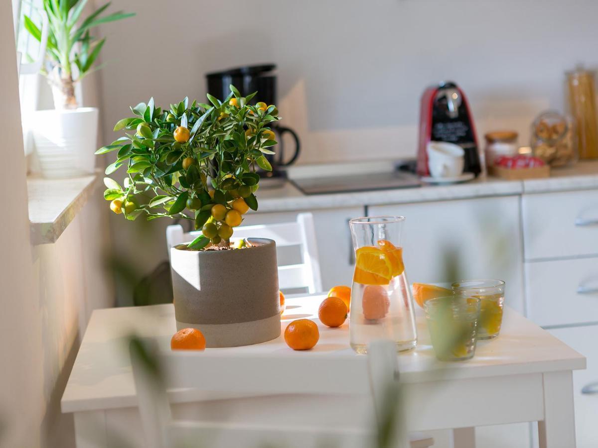 Dream Istria Holiday Porec Luaran gambar
